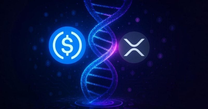 Circle brings USDC to Ripple’s network as XRP Ledger gears up for EVM-compatible sidechain this quarter