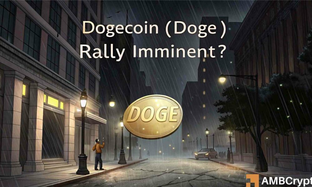 Dogecoin drops 20% - But 3 signals point to a BIG move for DOGE!