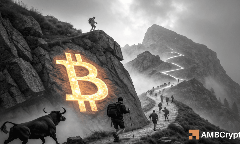 Bitcoin: Despite 10% retail dip, whales could lead BTC to $111K - How?