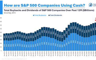 Animal Spirits: There Are Too Many Rich People