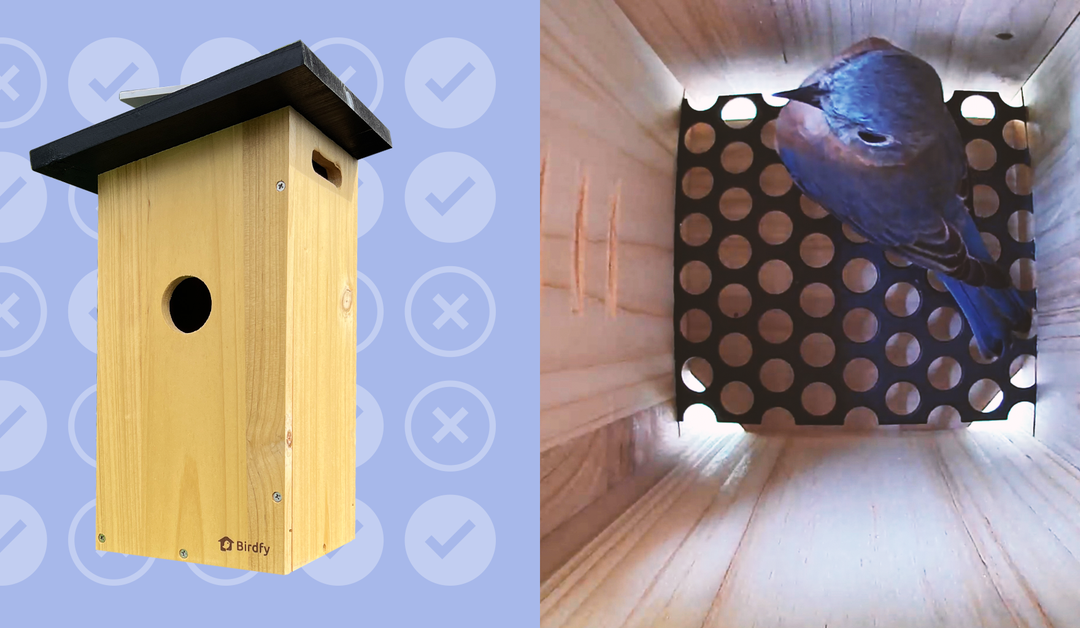 First We Fell in Love With a Smart Bird Feeder. Then This Smart Bird House Stole Our Hearts.
