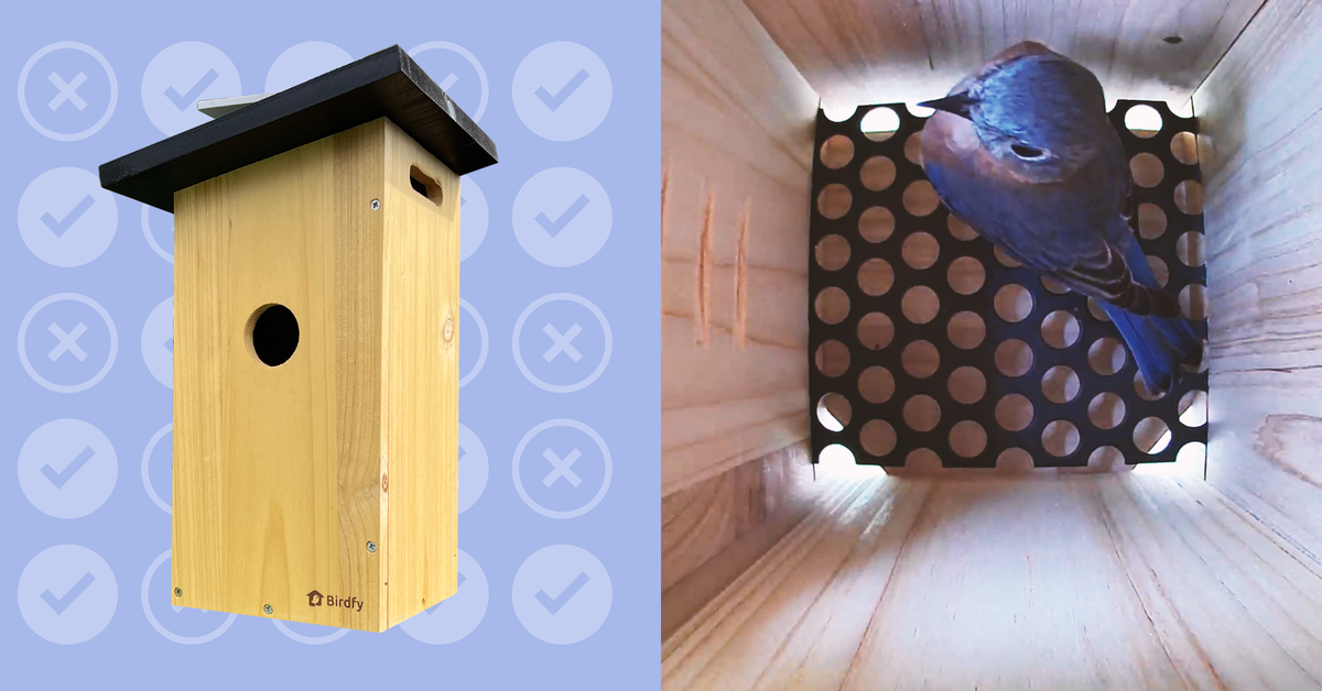 First We Fell in Love With a Smart Bird Feeder. Then This Smart Bird House Stole Our Hearts.