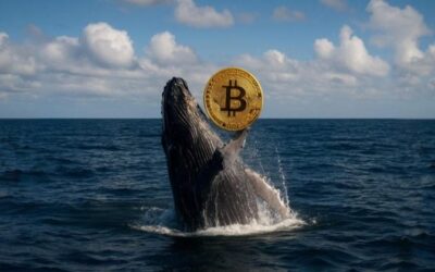 Dormant Bitcoin whale activates after 14 years and moves 60,000 BTC